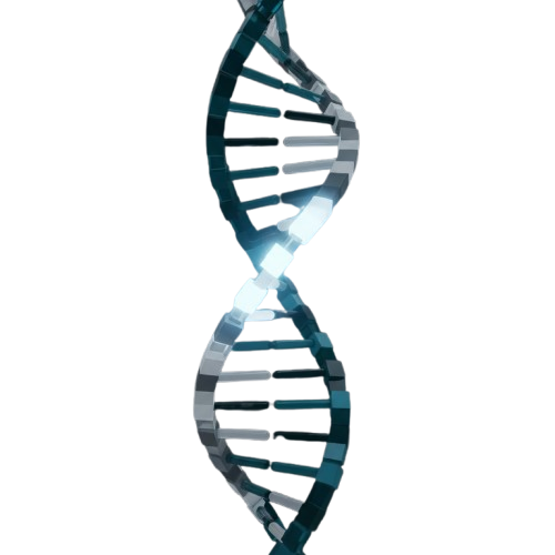 Feature product image